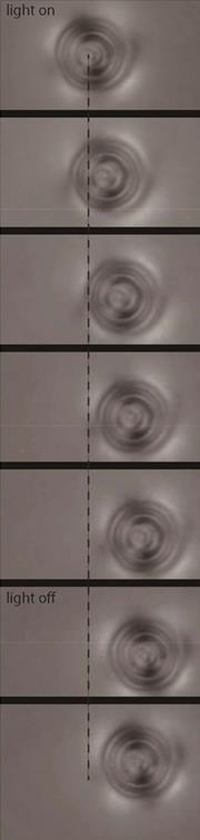 Moving microbeads in liquid crystals