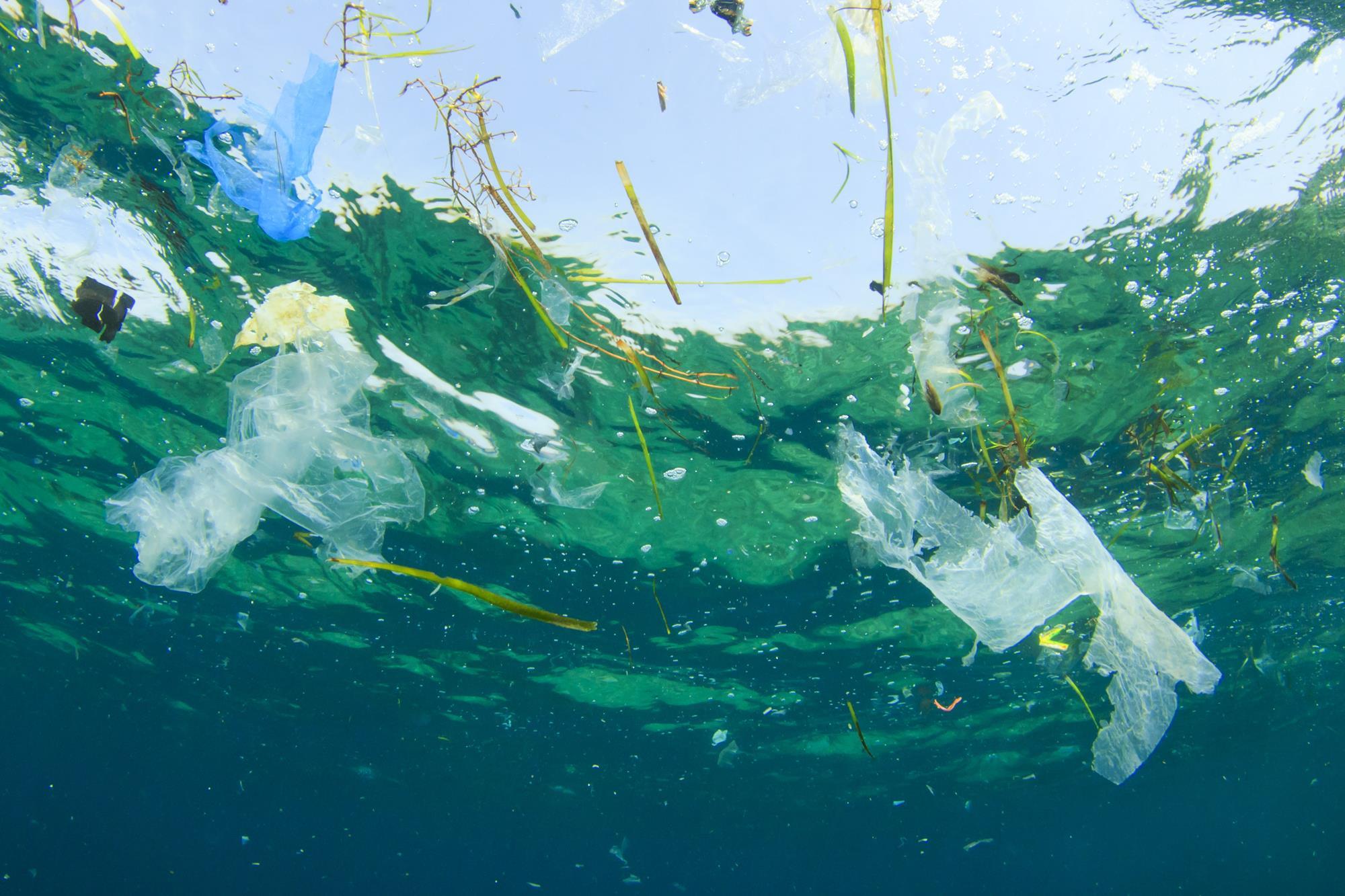 PLASTIC OCEAN Our Oceans Are Turning Into Plastic Are