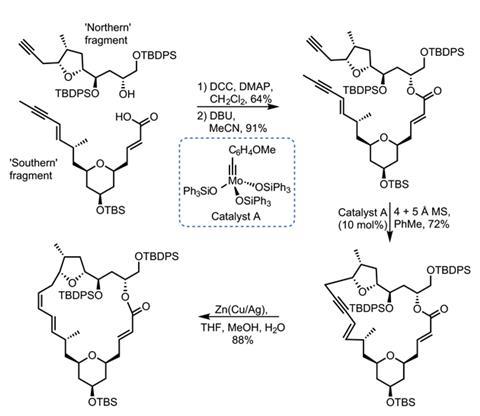 Carbonyl olefin metathesis